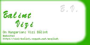 balint vizi business card