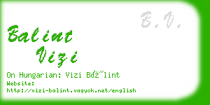 balint vizi business card